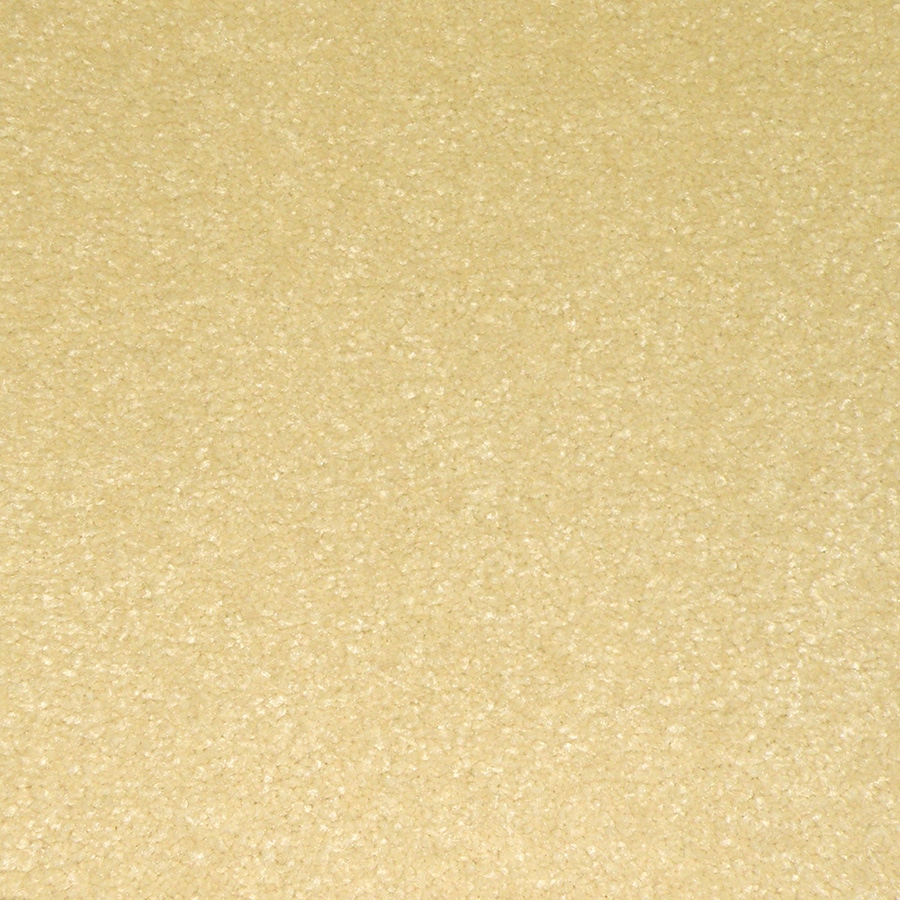Dixie Group 50110-304 Active Family Washed Shell Carpet