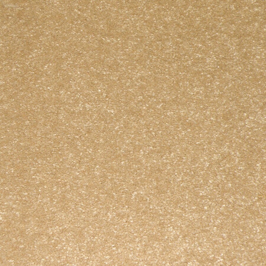 Dixie Group 50110-309 Active Family Tip Toe Carpet