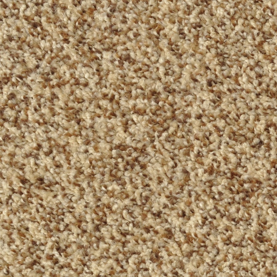 Dixie Group Active Family Pristine Carpet at Lowes.com