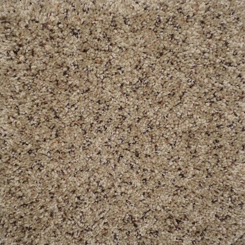 16Pack 18in x 18in Expedition AdhesiveBacked Carpet Tile at