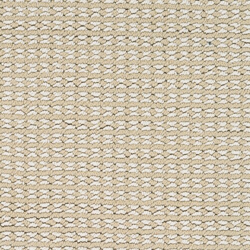 STAINMASTER PetProtect Secret Dream 12-ft Pattern Interior Carpet at Lowes.com