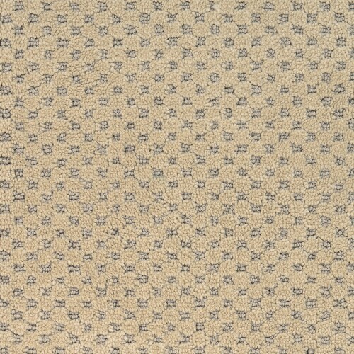 STAINMASTER PetProtect Natural Essence Hemlock Pattern Carpet (Indoor ...