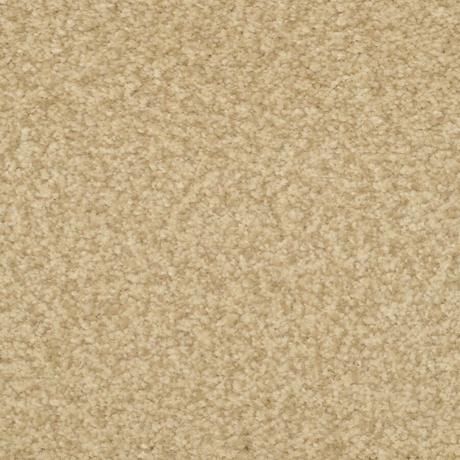 Stainmaster Active Family Special Occasion 12 Ft Textured Interior