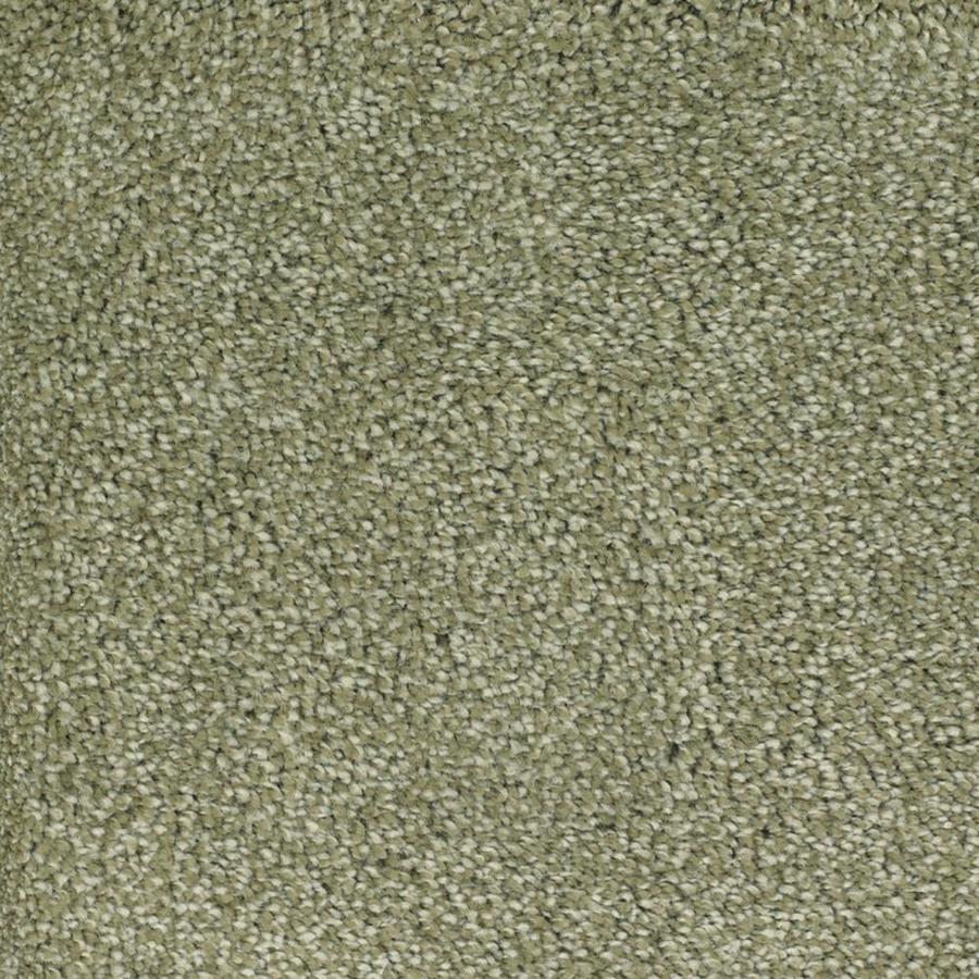 STAINMASTER Green Carpet at