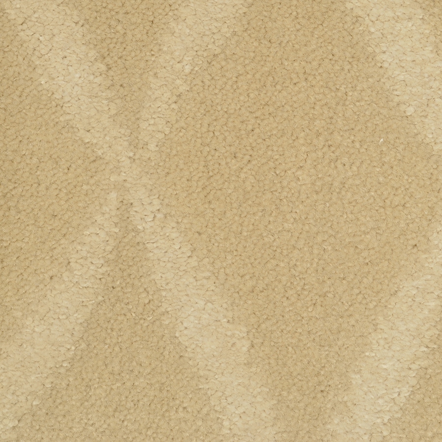 STAINMASTER 2393-113 TruSoft Vineyard Manor Competitive Interior Carpet