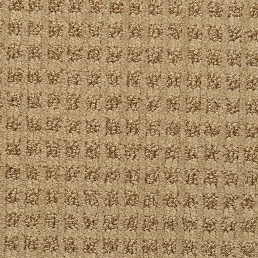 Stainmaster Medford Cork Bark Rectangular Indoor Area Rug Stainmaster Medford Cork Bark Rectangular Indoor Area Rug Common 6 X 9 Actual
