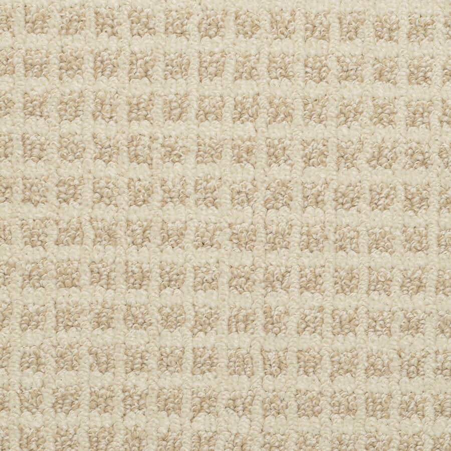 Stainmaster Medford Fizz Indoor Area Rug Common 8 X 10 Stainmaster Medford Fizz Indoor Area Rug Common 8 X 10 Actual