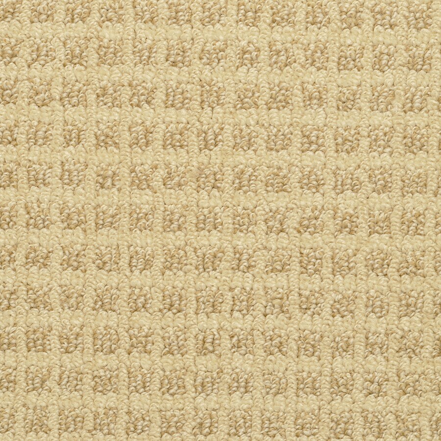 Stainmaster Medford Corn Flower Indoor Area Rug Common 8 X 10 Stainmaster Medford Corn Flower Indoor Area Rug Common 8 X 10 Actual