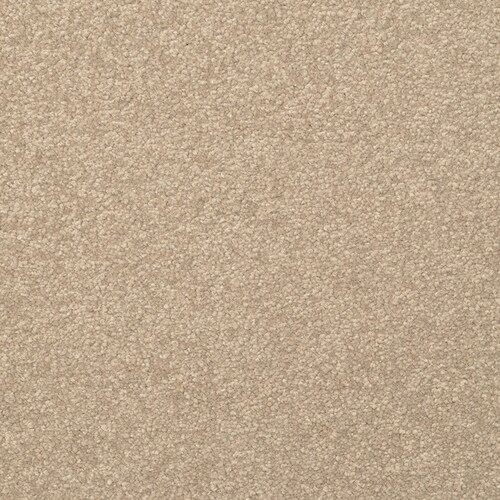 STAINMASTER Influential 8 x 10 Tavern Indoor Solid Global Area Rug in