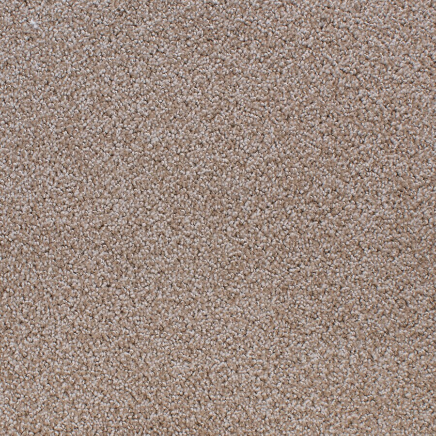 STAINMASTER Oak Grove Trilogy Rectangular Indoor MachineMade Area Rug