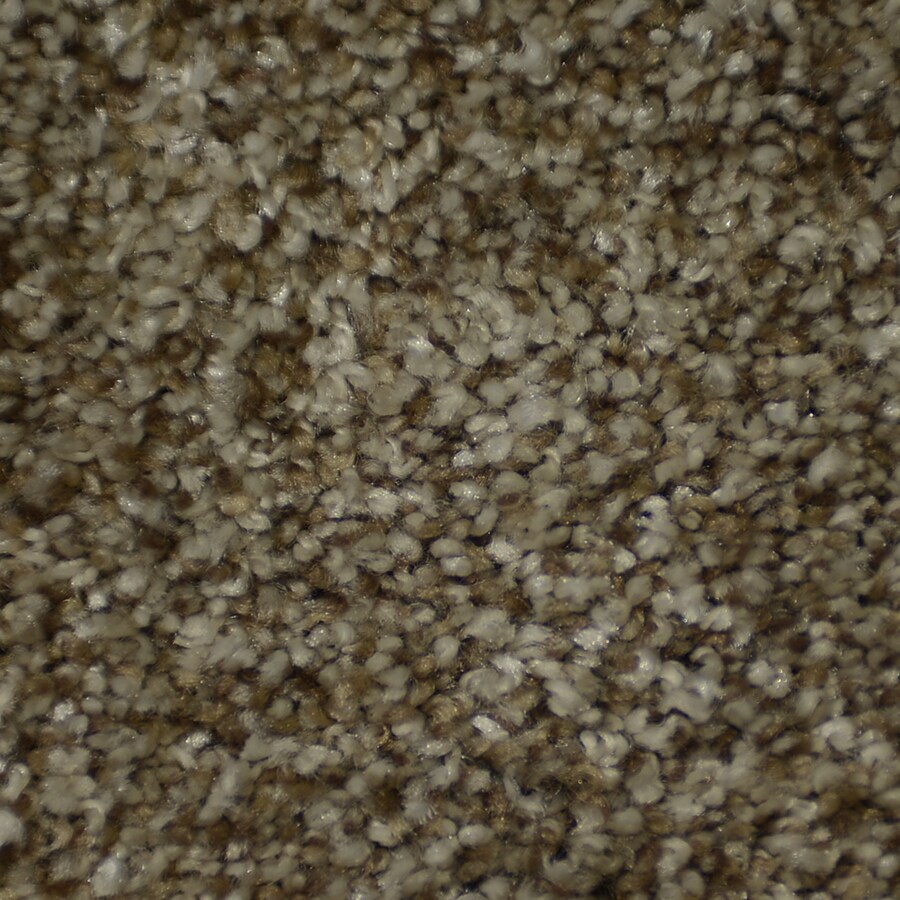 Stainmaster Doentary Shandur Indoor Area Rug Common 8 X 10 Stainmaster Doentary Shandur Indoor Area Rug Common 8 X 10 Actual