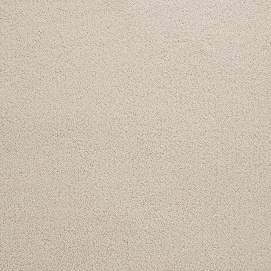 STAINMASTER Capri Place 8x10 bound area rug Gild Indoor Area Rug