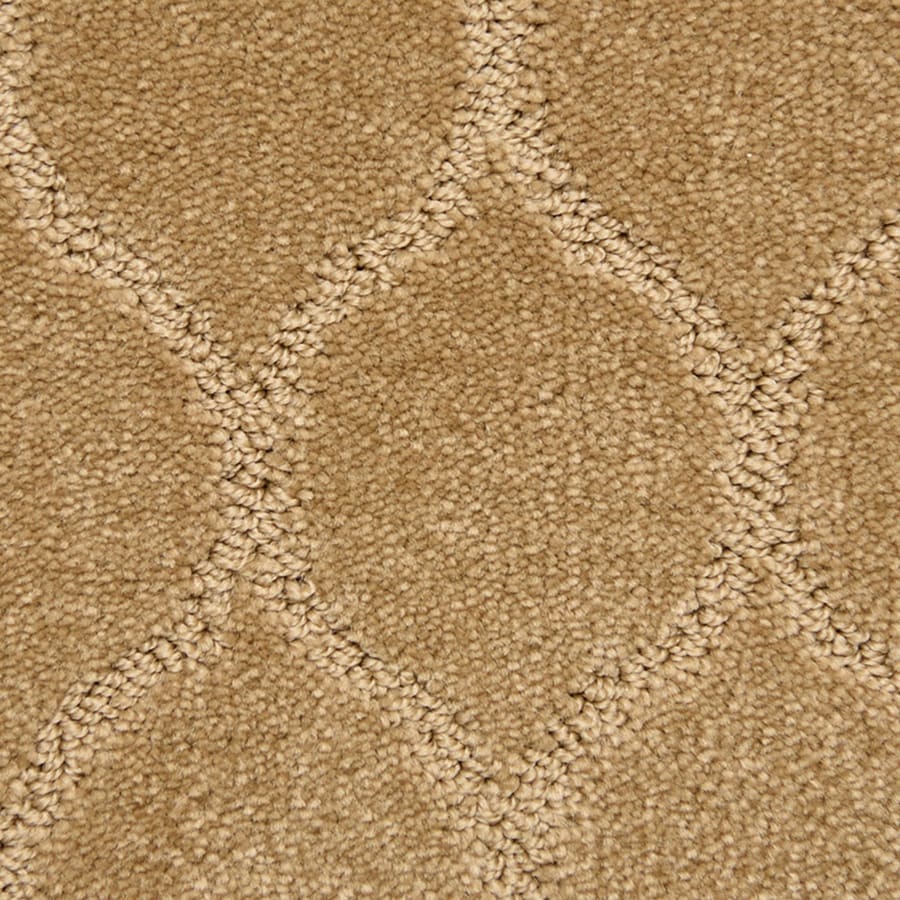 STAINMASTER PetProtect Iconic 12ft Pattern Interior Carpet at