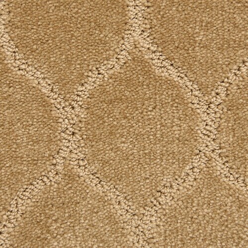 STAINMASTER PetProtect Iconic Brilliant Pattern Carpet (Interior) in