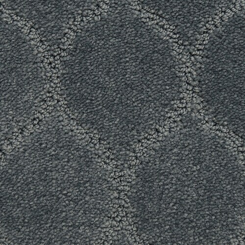 STAINMASTER PetProtect Iconic Optimistic Pattern Carpet (Indoor) in the
