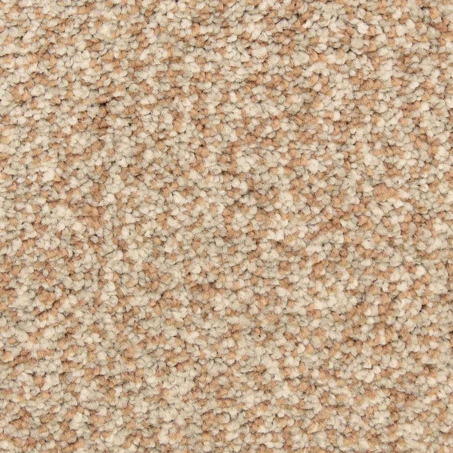 STAINMASTER LiveWell Grandstand 12-ft Textured Autumn Maize Interior Carpet