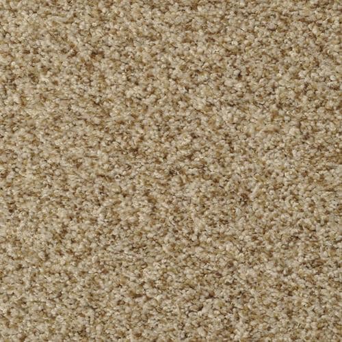 STAINMASTER Signature Documentary Pebble Beach Textured Carpet Sample (Interior) in the Carpet