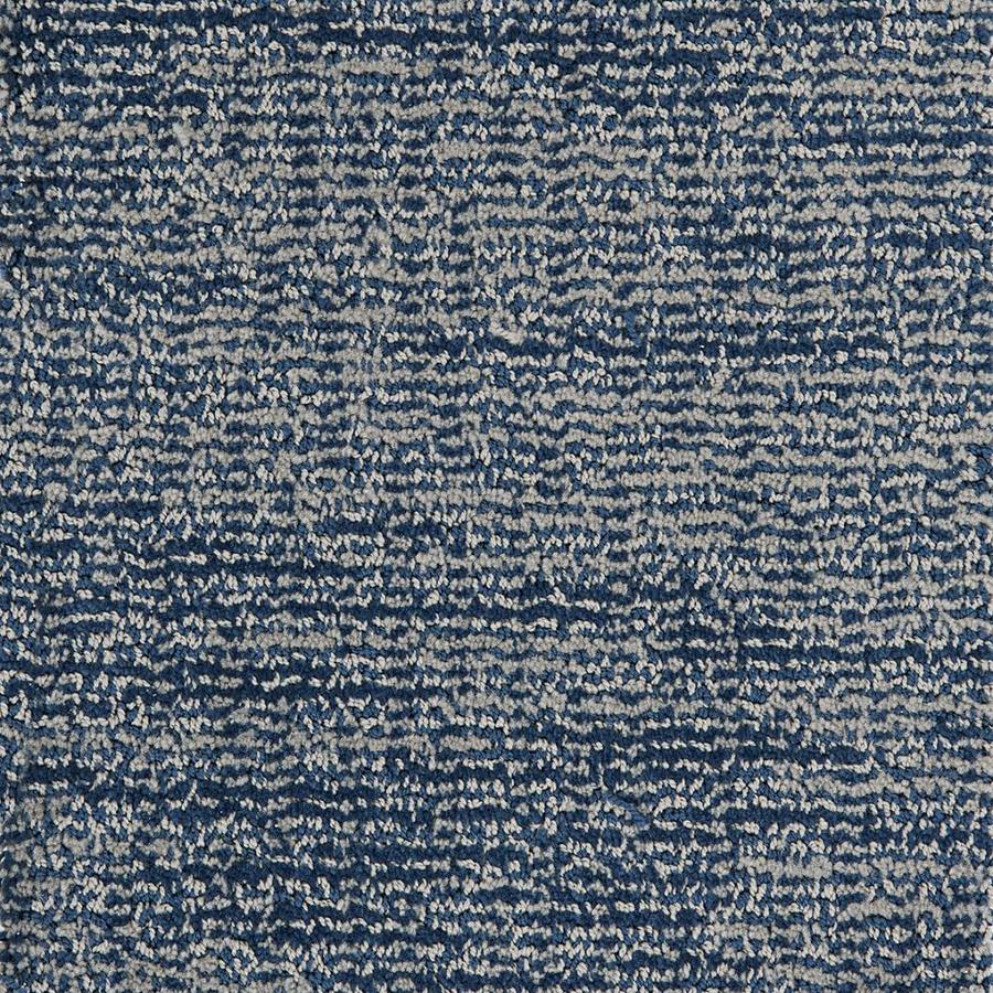 STAINMASTER DL017-109S PetProtect Pembroke Legendary Pattern Carpet Sample (Interior)