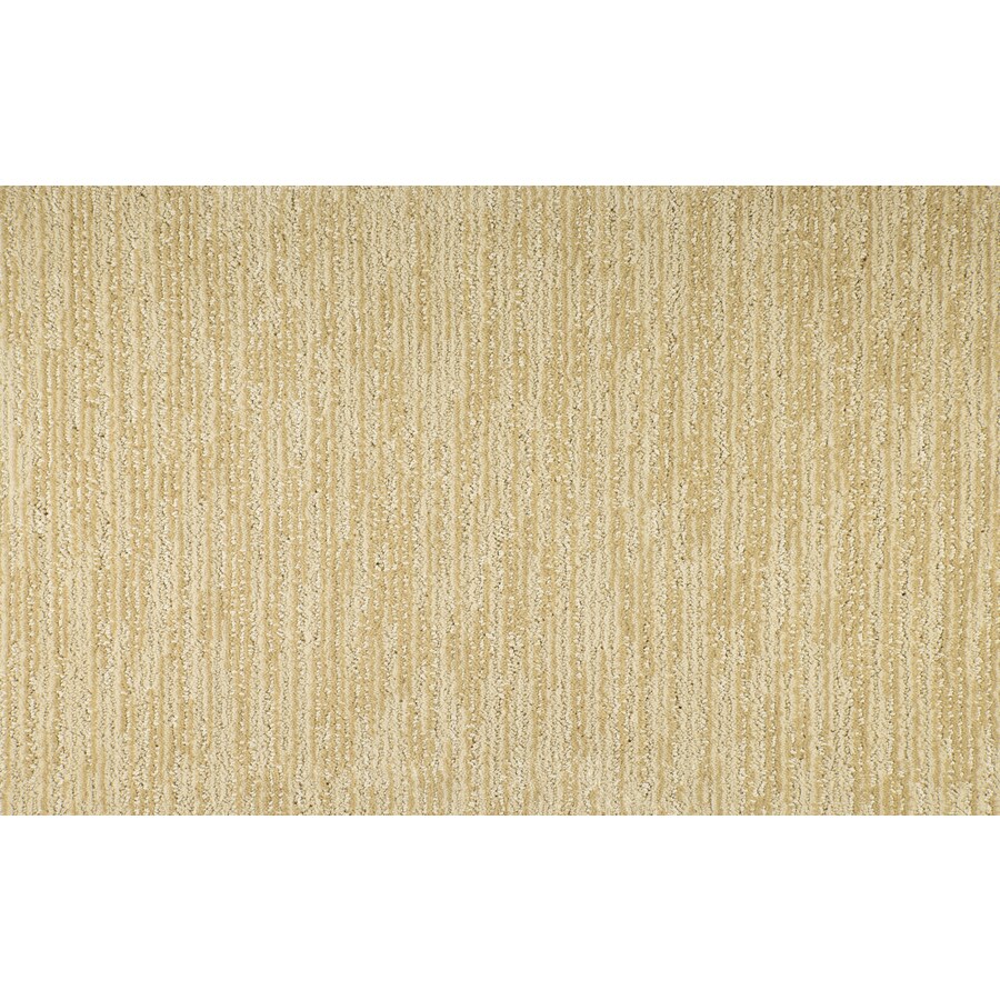 STAINMASTER DL045-108S PetProtect Waterford Way Beach Haven Pattern Carpet Sample (Interior)