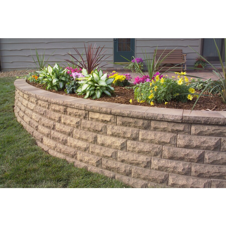 Anchor Block Tan/Brown Chiselwall Retaining Wall Cap (Common: 12-in x 2 ...