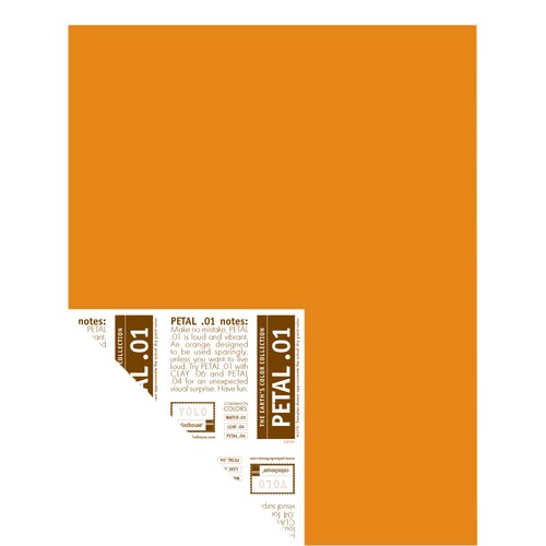 YOLO Colorhouse 1Color Paint Fan Deck at