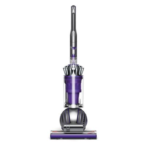 Dyson Ball Animal 2 Bagless Upright Vacuum at Lowes.com