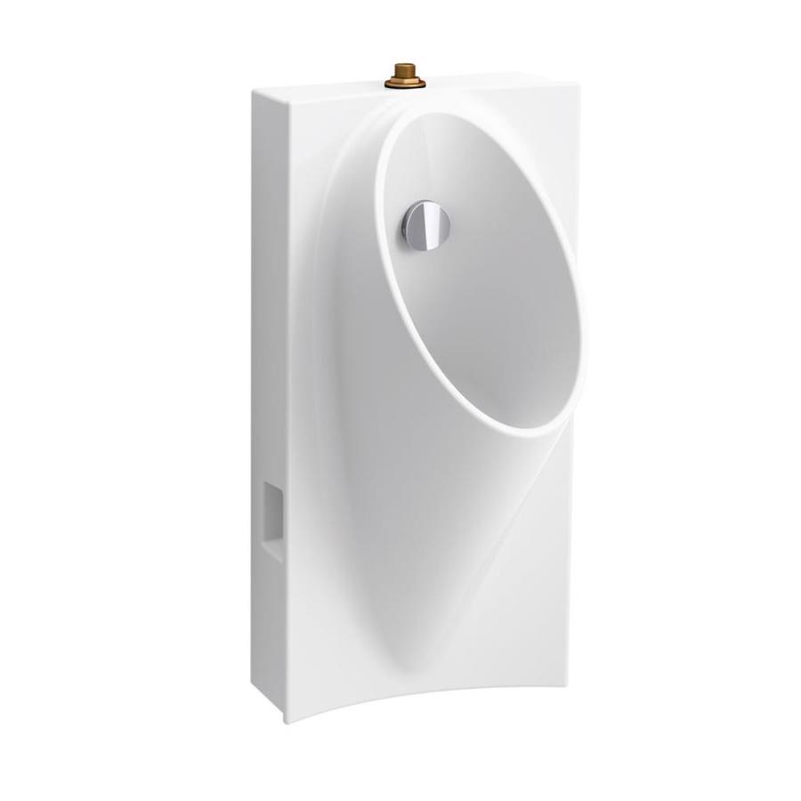  KOHLER  15 0000 in W x 29 6250 in H White Wall Mounted 