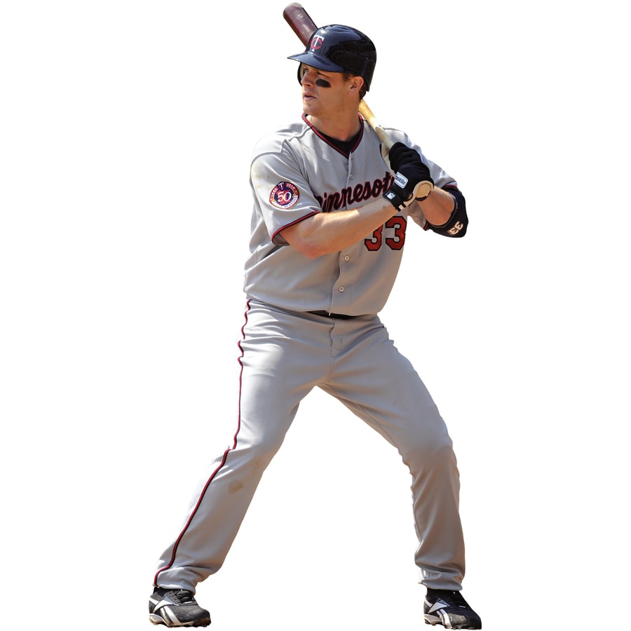 Fathead MLB Sports Wall Stickers at Lowes.com