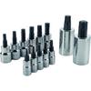 CRAFTSMAN 13-Piece Set Drive Torx Bit Torx Driver Socket Set At Lowes.com