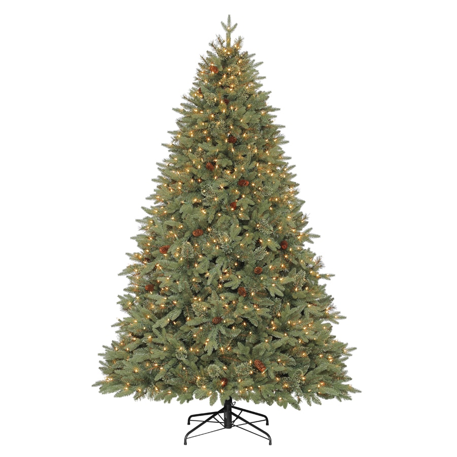 Shop Holiday Living 75 Ft Pre Lit Hayden Pine Artificial Christmas Tree With White Clear