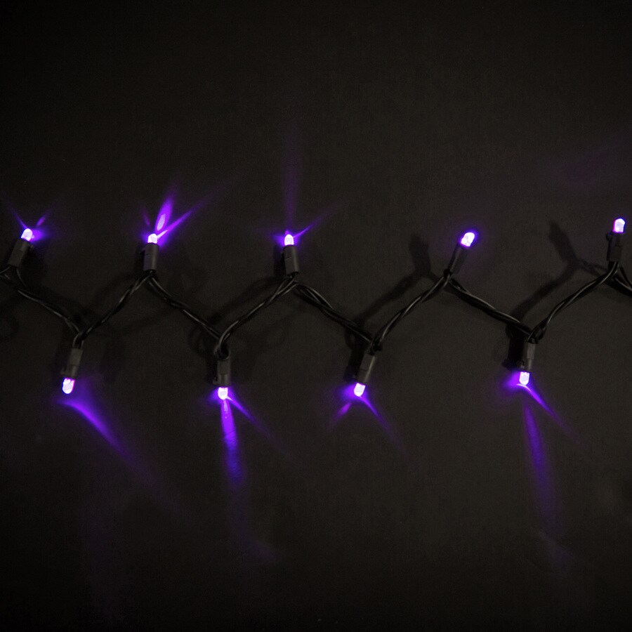 Holiday Living L8100039XU12 Halloween-String-Lights - View #10