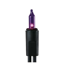 Holiday Living 100-Count 20.6-ft Purple Mini Plug-In Halloween String Lights