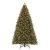 Holiday Living 9-ft Pre-lit Hayden Pine Artificial Christmas Tree with ...