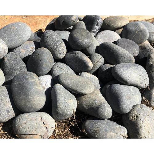 Allstone Select Austin Singles White Natural Stone Patio Stone 6in x 12in; Actual 6