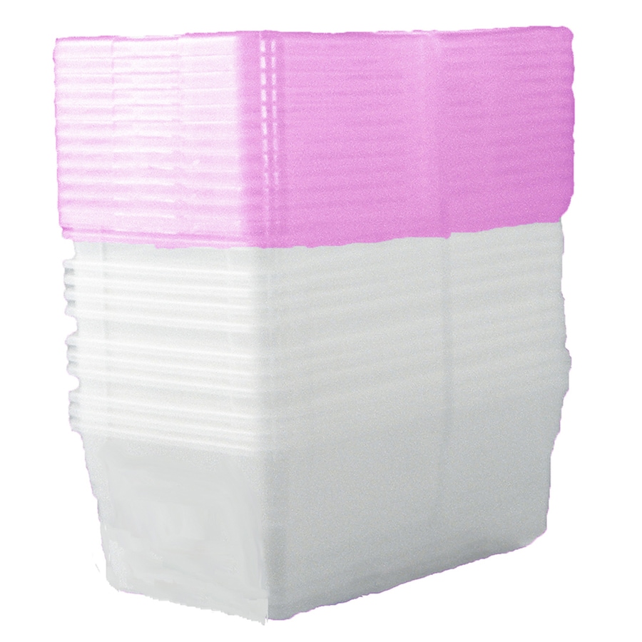 Centrex Plastics, LLC 10-Pack Clear Shoe Box with