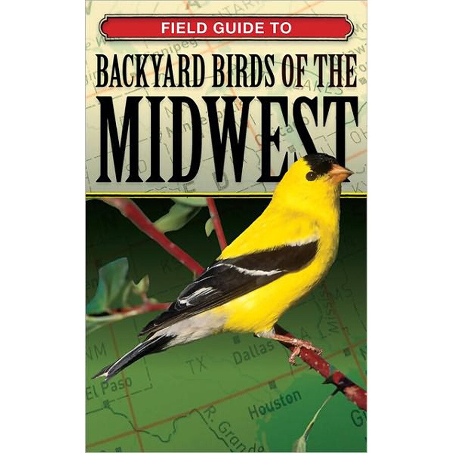 shop field guide backyard birds of the midwest at lowes com shop field guide backyard birds of the midwest at lowes com