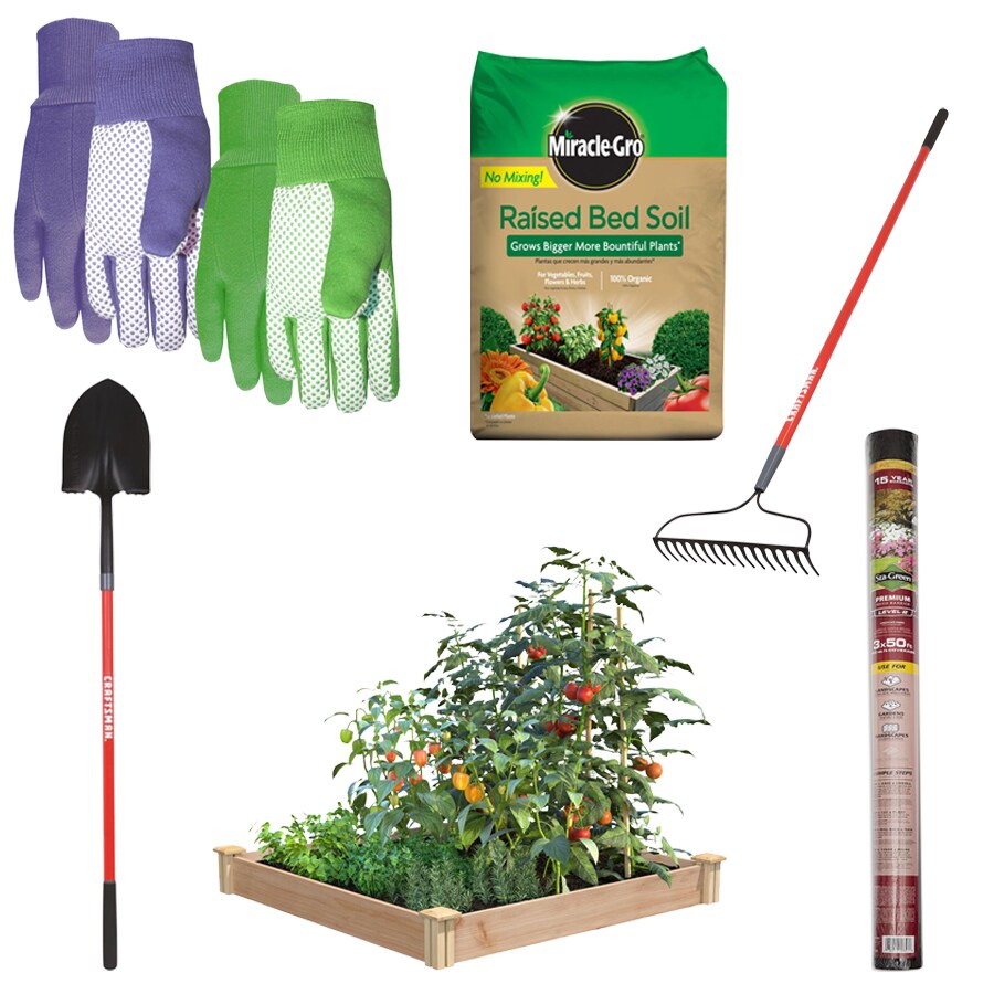 Shop Miracle Gro Raised Garden Bed Kit At Lowes Com