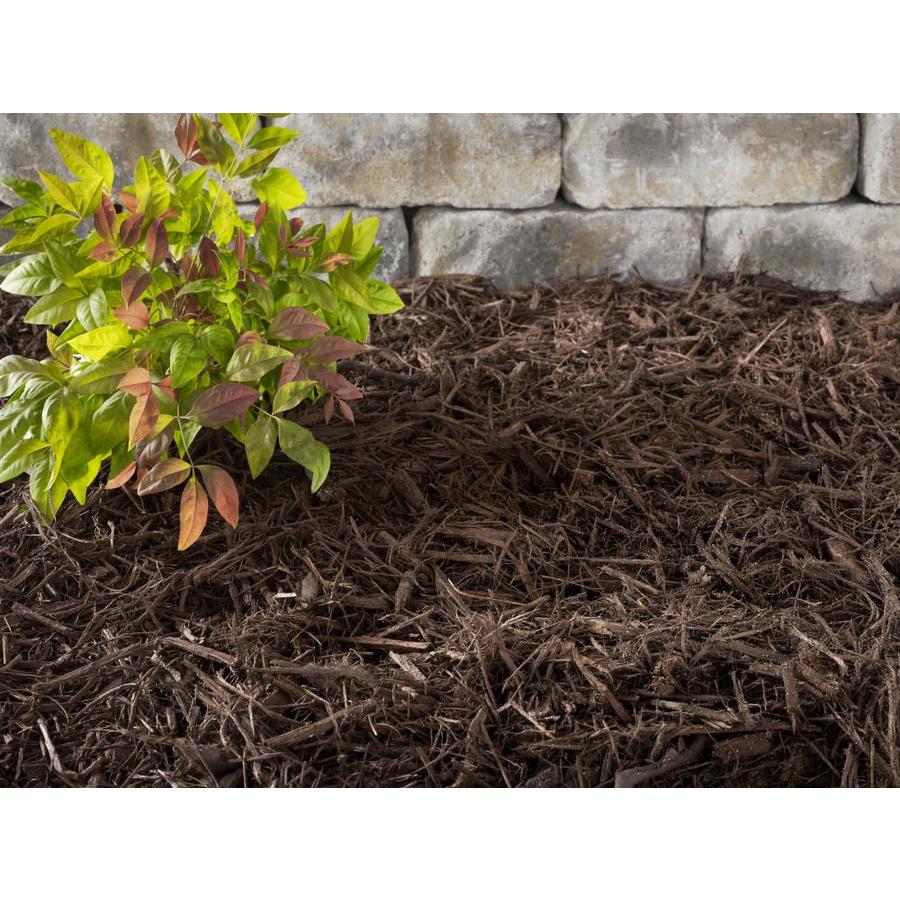 Shop Unbranded Premium Brown Color Mulch Project at