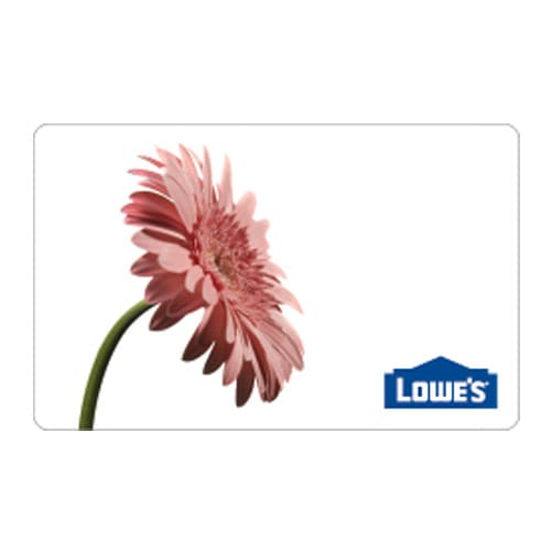 Gerber Daisy Gift Card at Lowes.com