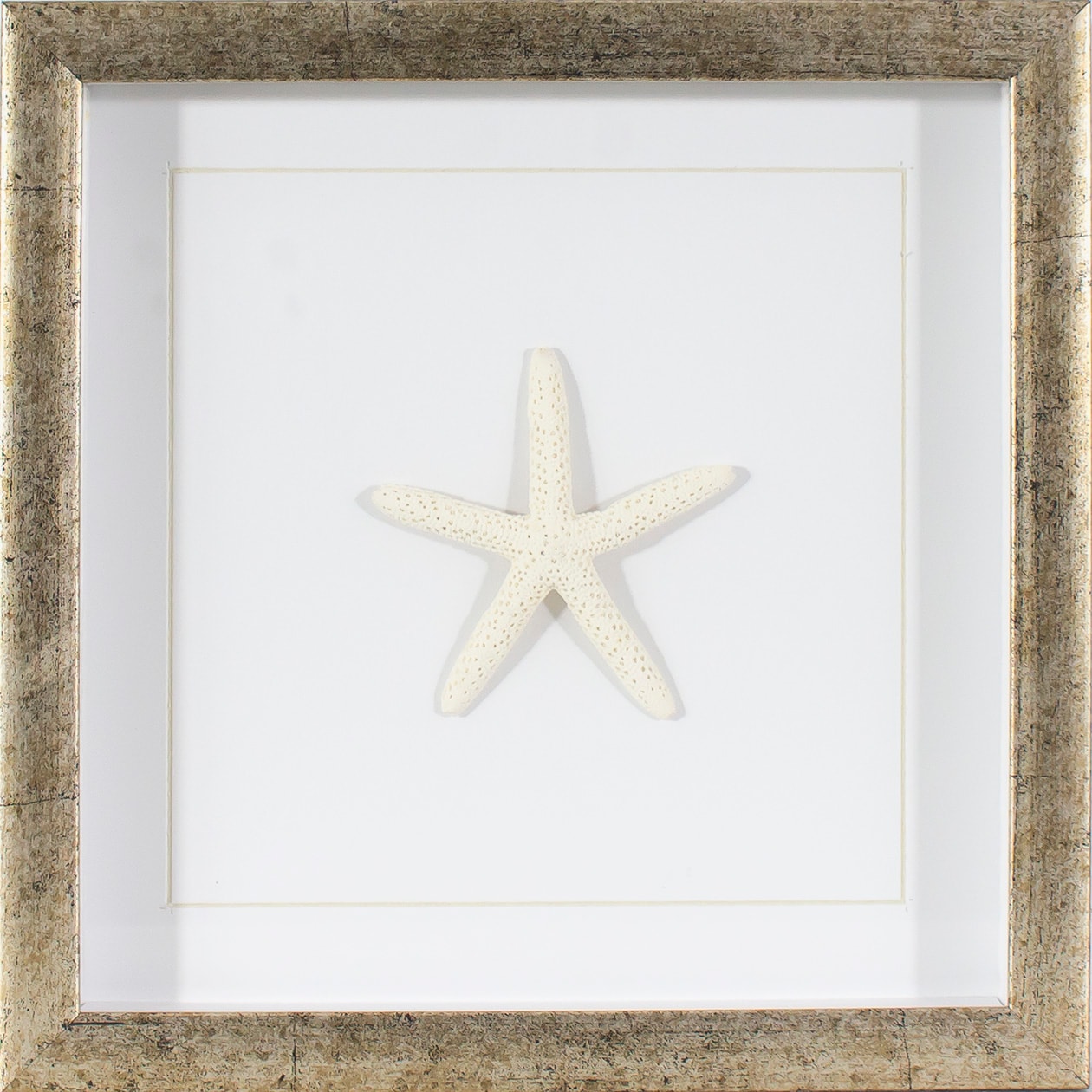  1507-8005LOW Gold Plastic Framed 10-in H x 10-in W Abstract Plastic Shadow Box