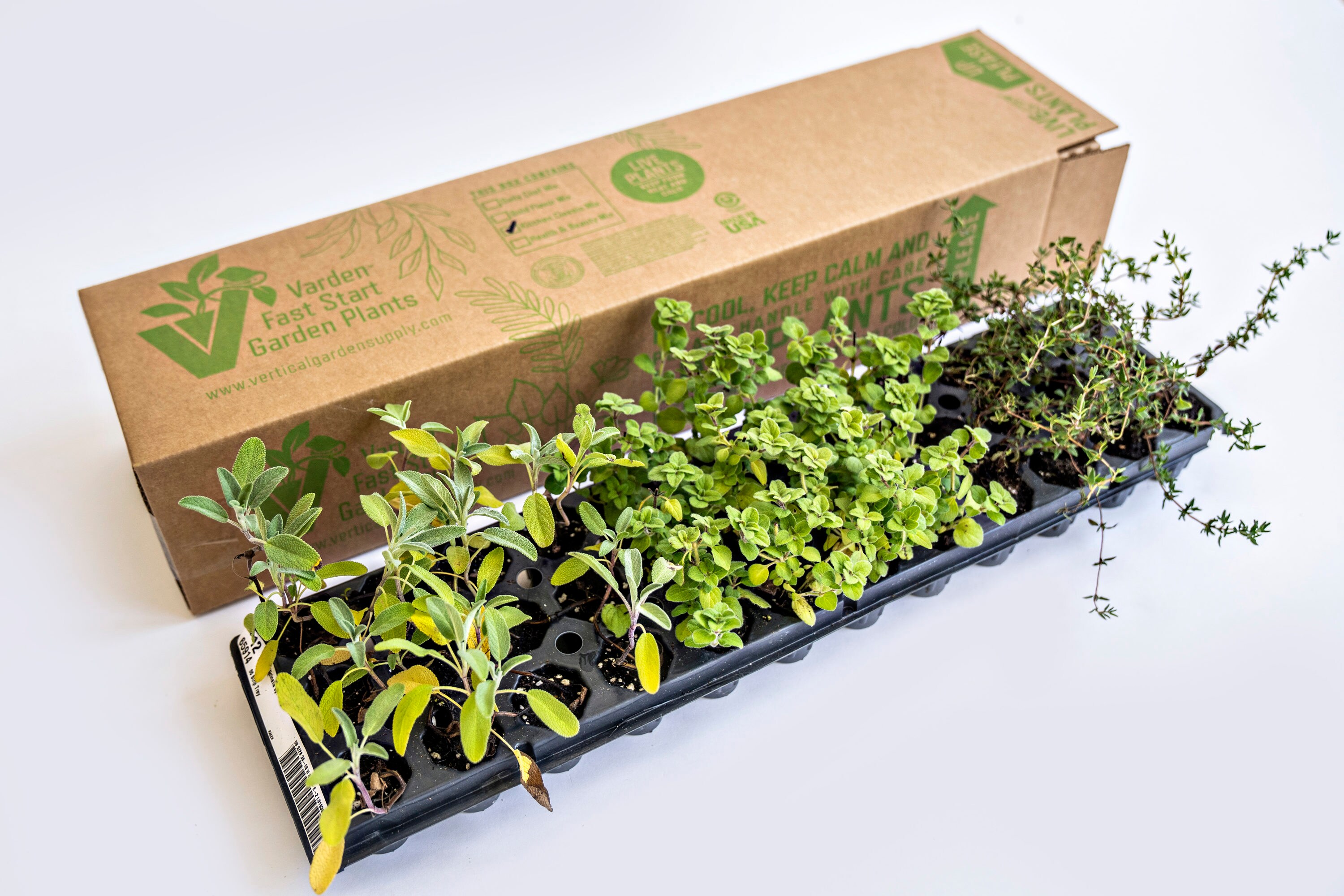 Varden VG-FST36-KCM Herb-Plants - View #2