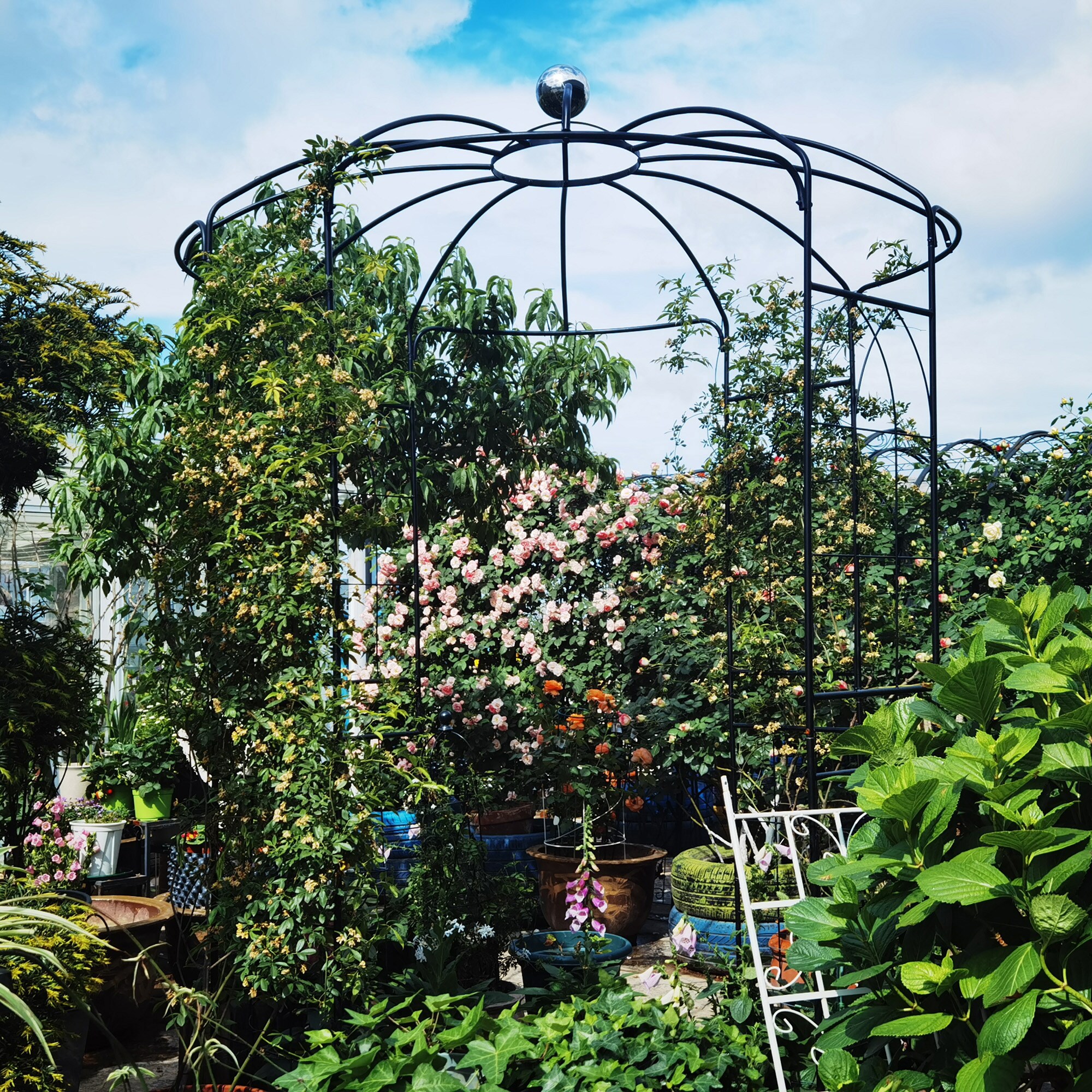 Gaierptone CRXBDVGF9RZ Garden-Arbor - View #9