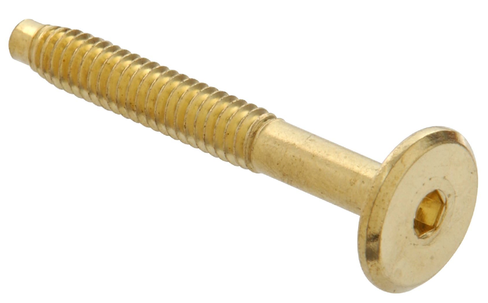 45-Pack The Hillman Group The Hillman Group 1175 Brass Chrome Plated Flat Head Slotted Wood Screw 6 x 3/4 In 