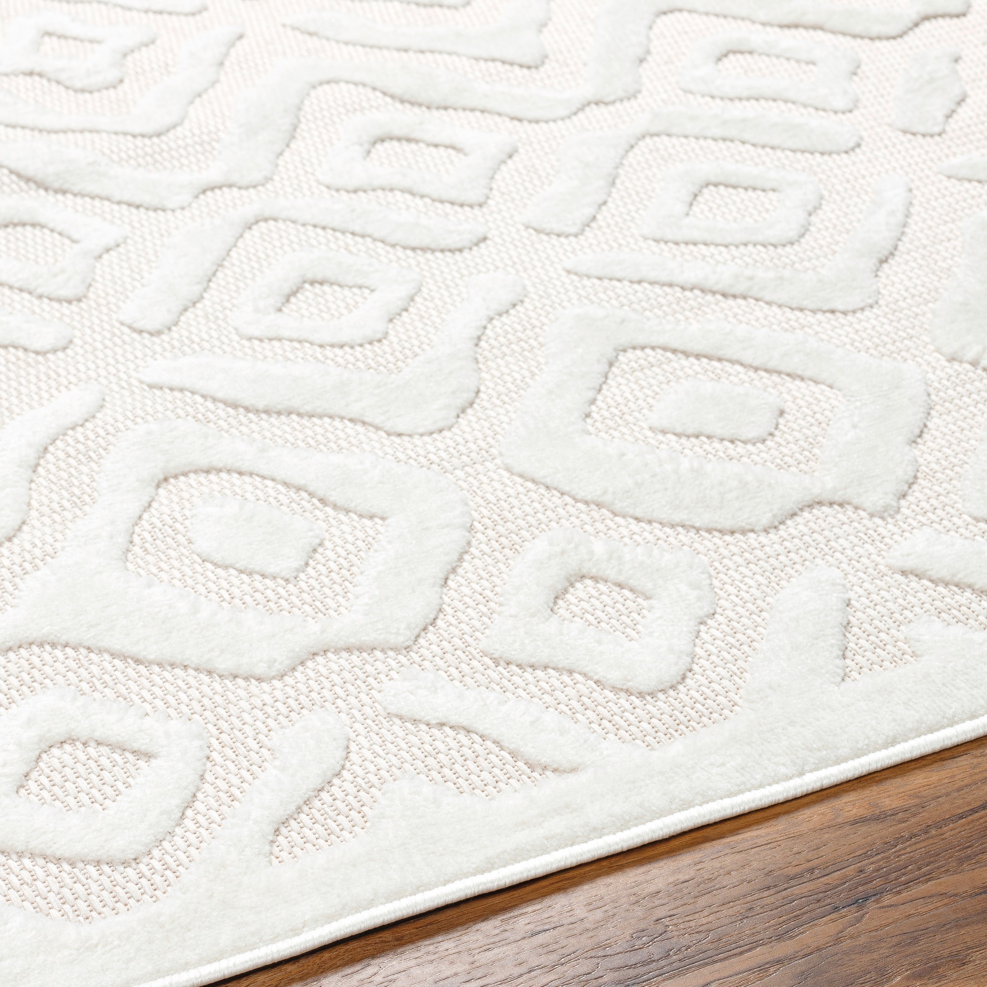Livabliss SFG2314-71010 rugs - View #4