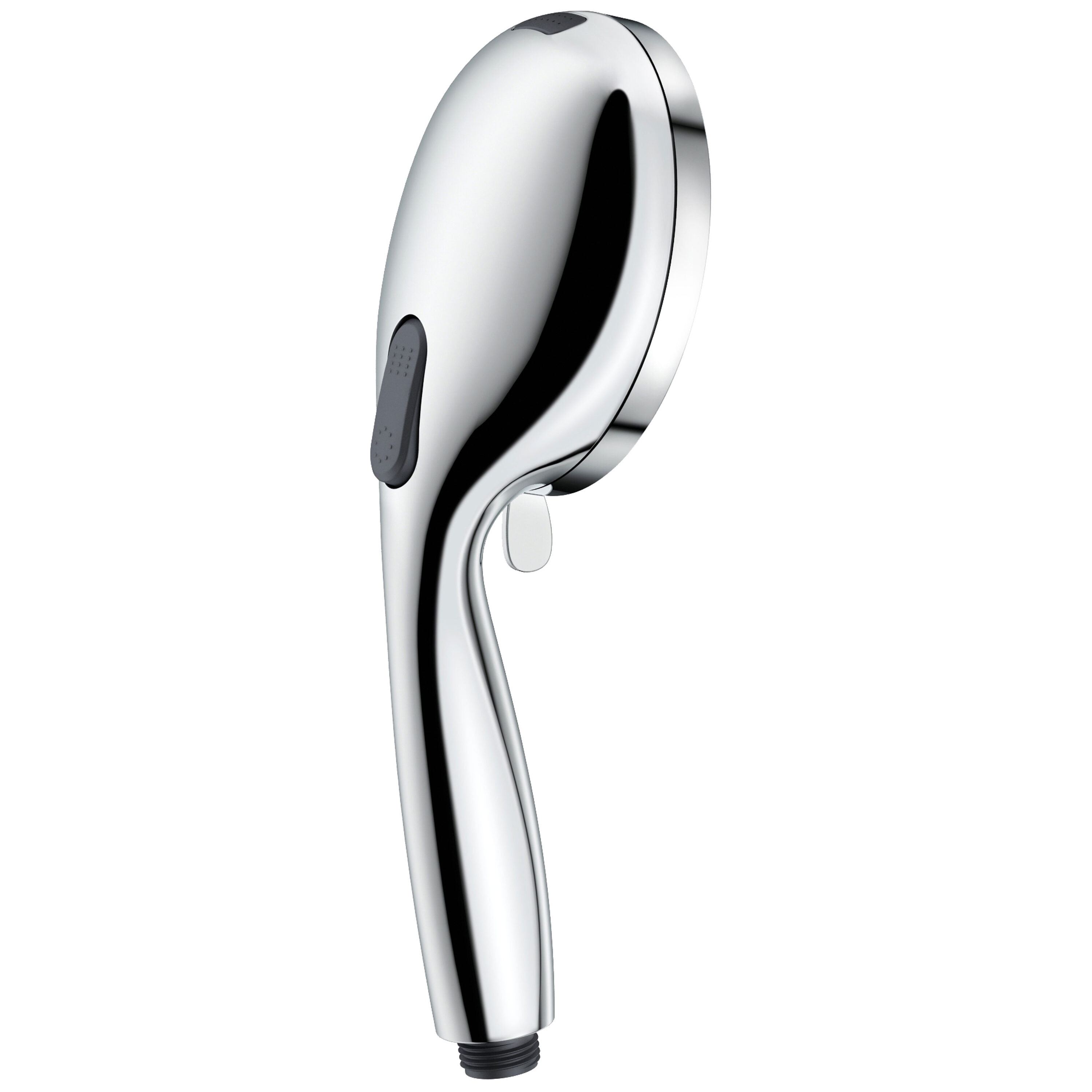 Chrome 10-Function Handheld Shower with Filter and Wall Mount