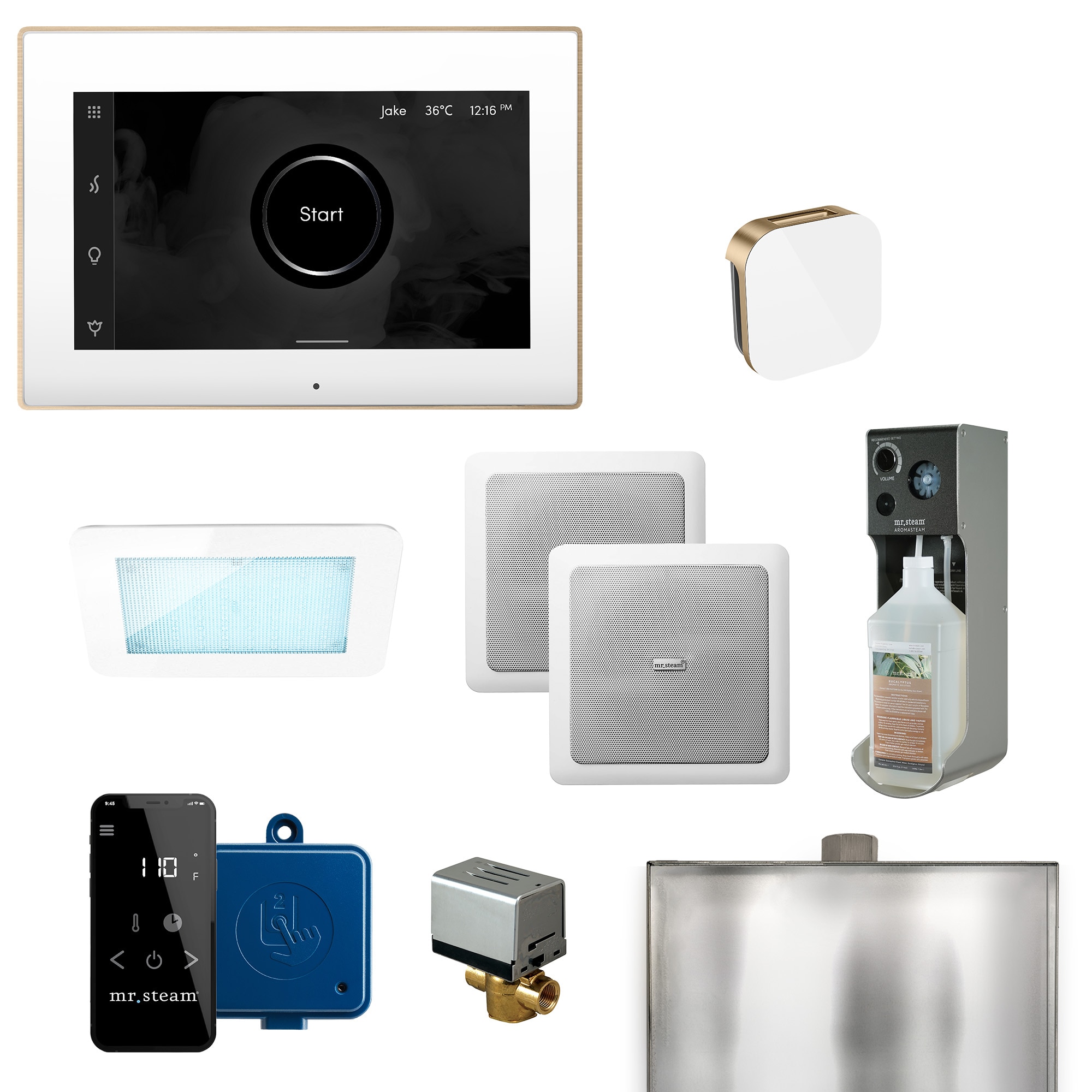 Mr. Steam XDRM1WHBB Xdream 500-Watt Brushed Bronze Steam generator control kit