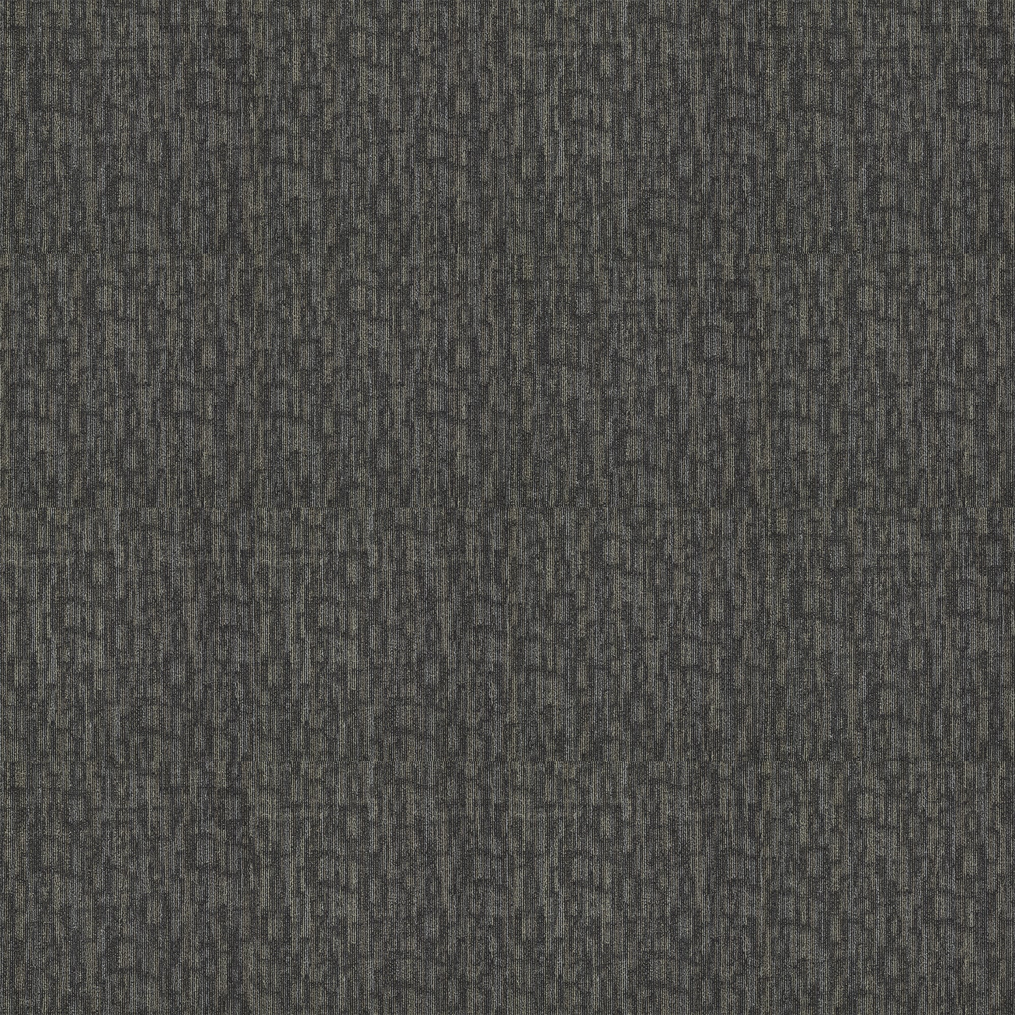 Shaw 7P0UX00795 Tate 24-in x 24-in Serene Brown Commercial Adhesive Indoor Carpet Tile ( 48-sq ft )