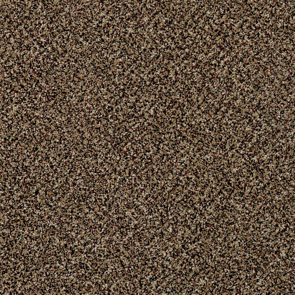 Shaw Wide Width Statuette I 12-ft- Raw Sienna Raw Sienna Textured Carpet Sample (Interior)