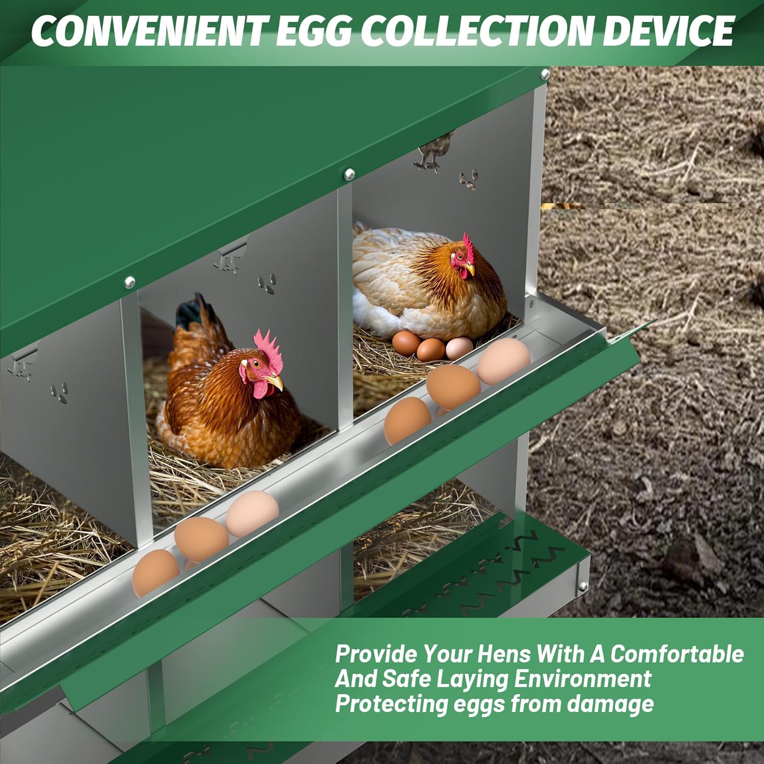 Qeetex GGL-PHO-348STS3V Chicken-Coops-Rabbit-Hutches - View #7