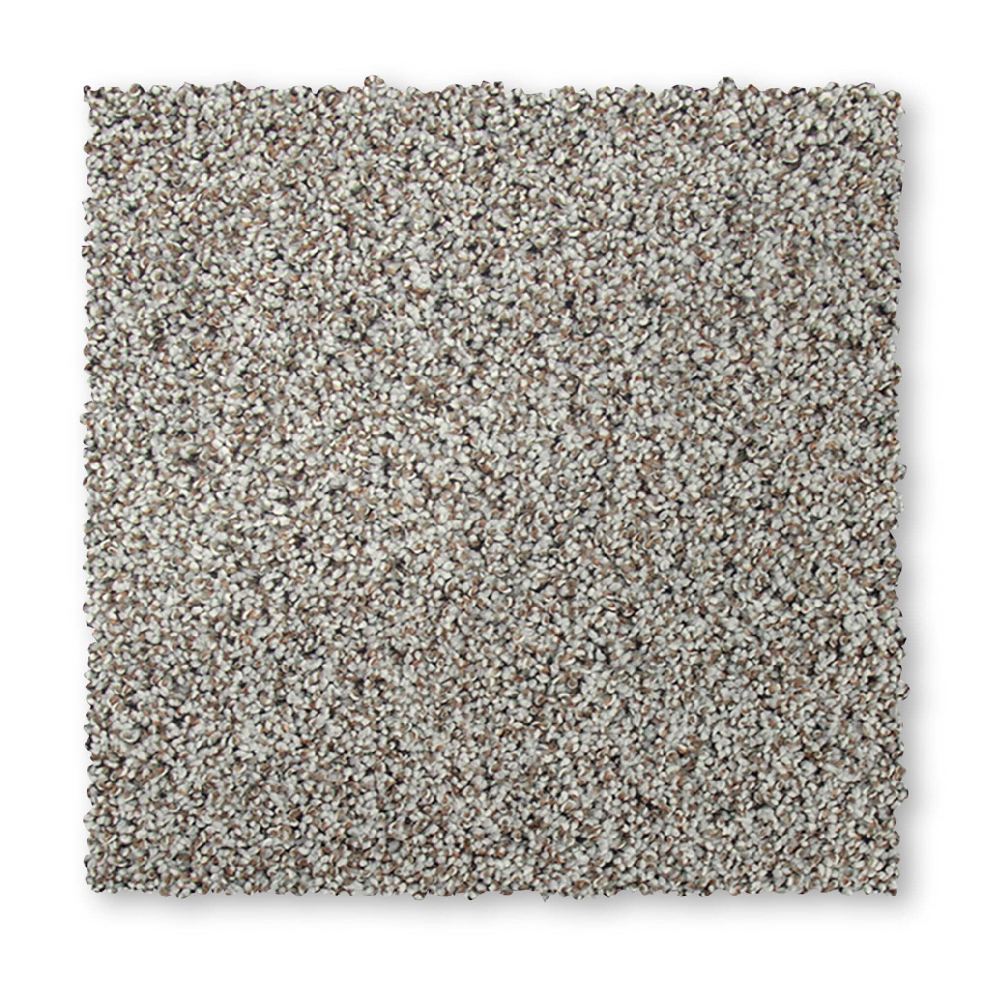 STAINMASTER SS024-L006-0808 (Sample) Mellow Rhythm II Mountain Ash Gray 52-oz sq yard Polyester Textured Indoor Carpet